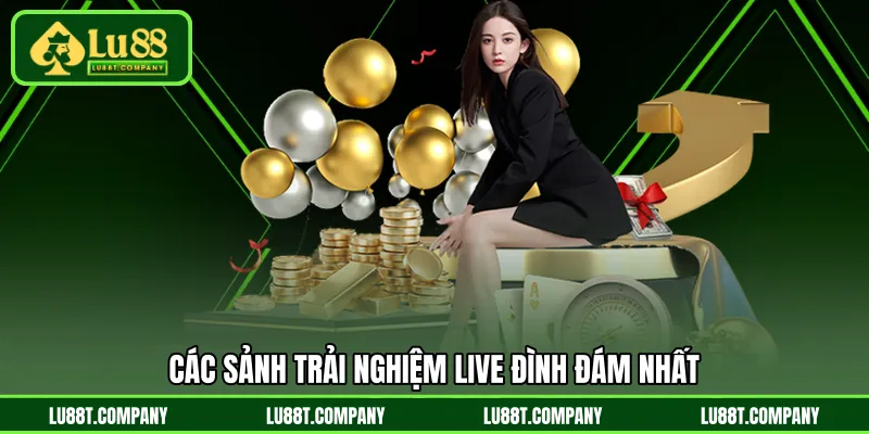 Các sảnh trải nghiệm live đình đám nhất